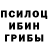 Галлюциногенные грибы мицелий ReshkaPasha
