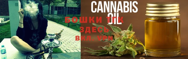 ECSTASY Балахна