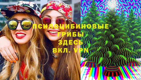 винт Баксан
