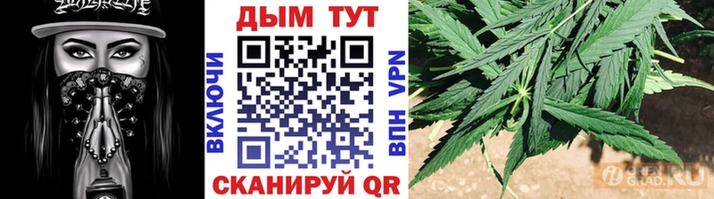 Канабис планчик  Купить  Бирюч 